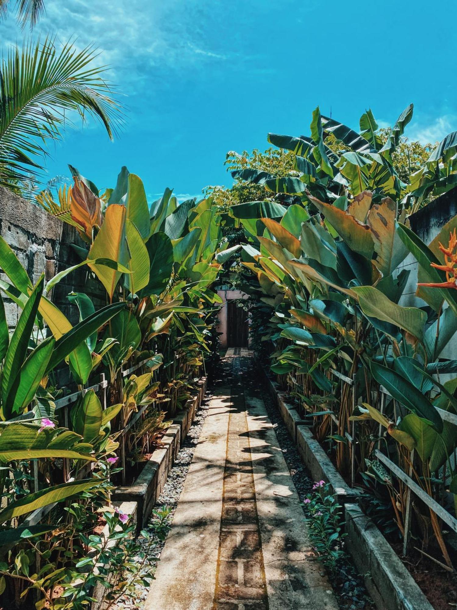 Basa-Basi Lodge Karimunjawa Buitenkant foto