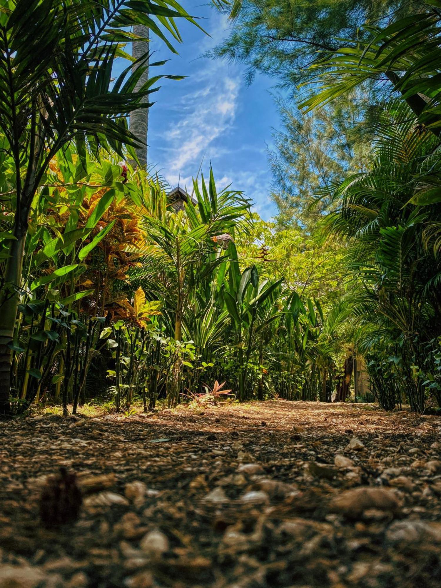 Basa-Basi Lodge Karimunjawa Buitenkant foto